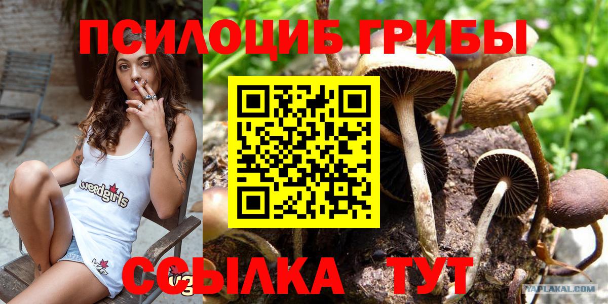 Асбест  Галлюциногенные грибы Psilocybine cubensis  Вход с VPN  Галлюциногенные грибы ЛСД 